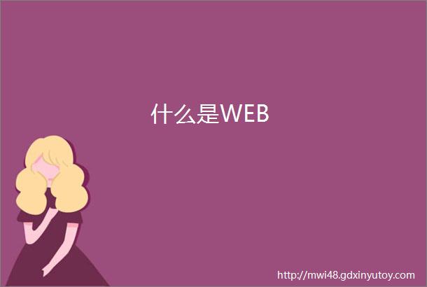 什么是WEB